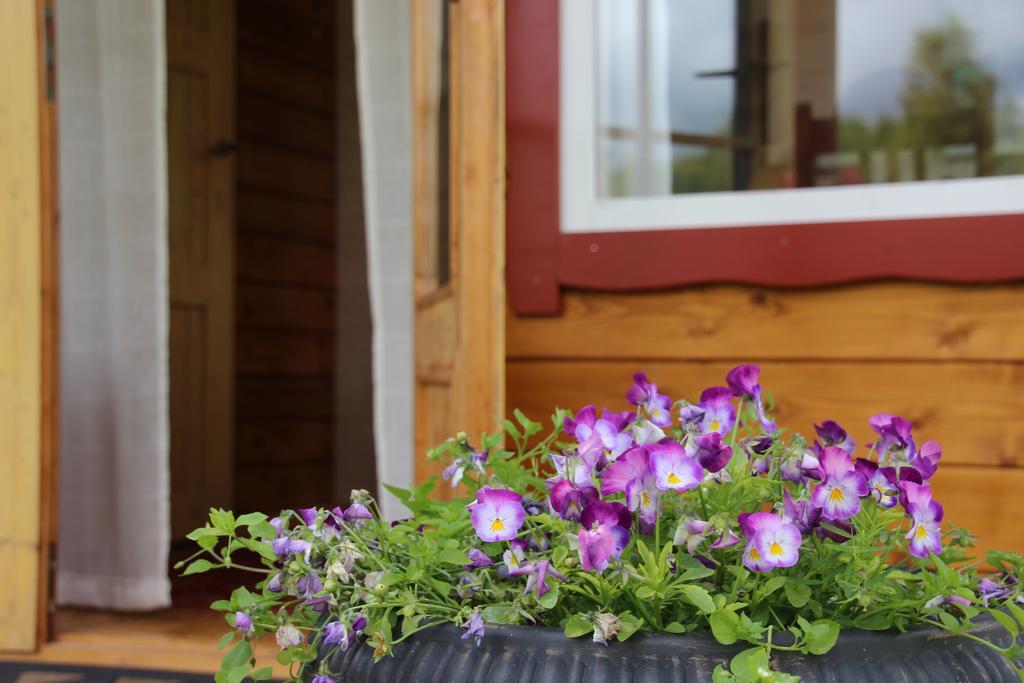 Lepametsa Holiday Houses Nasva Rom bilde