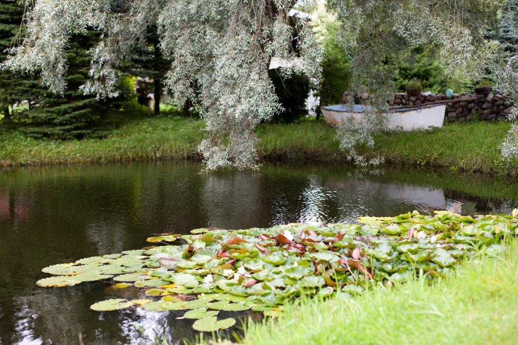 Lepametsa Holiday Houses Nasva Eksteriør bilde